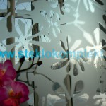 Зеркало-SMC-012-Цветы-беcцветное